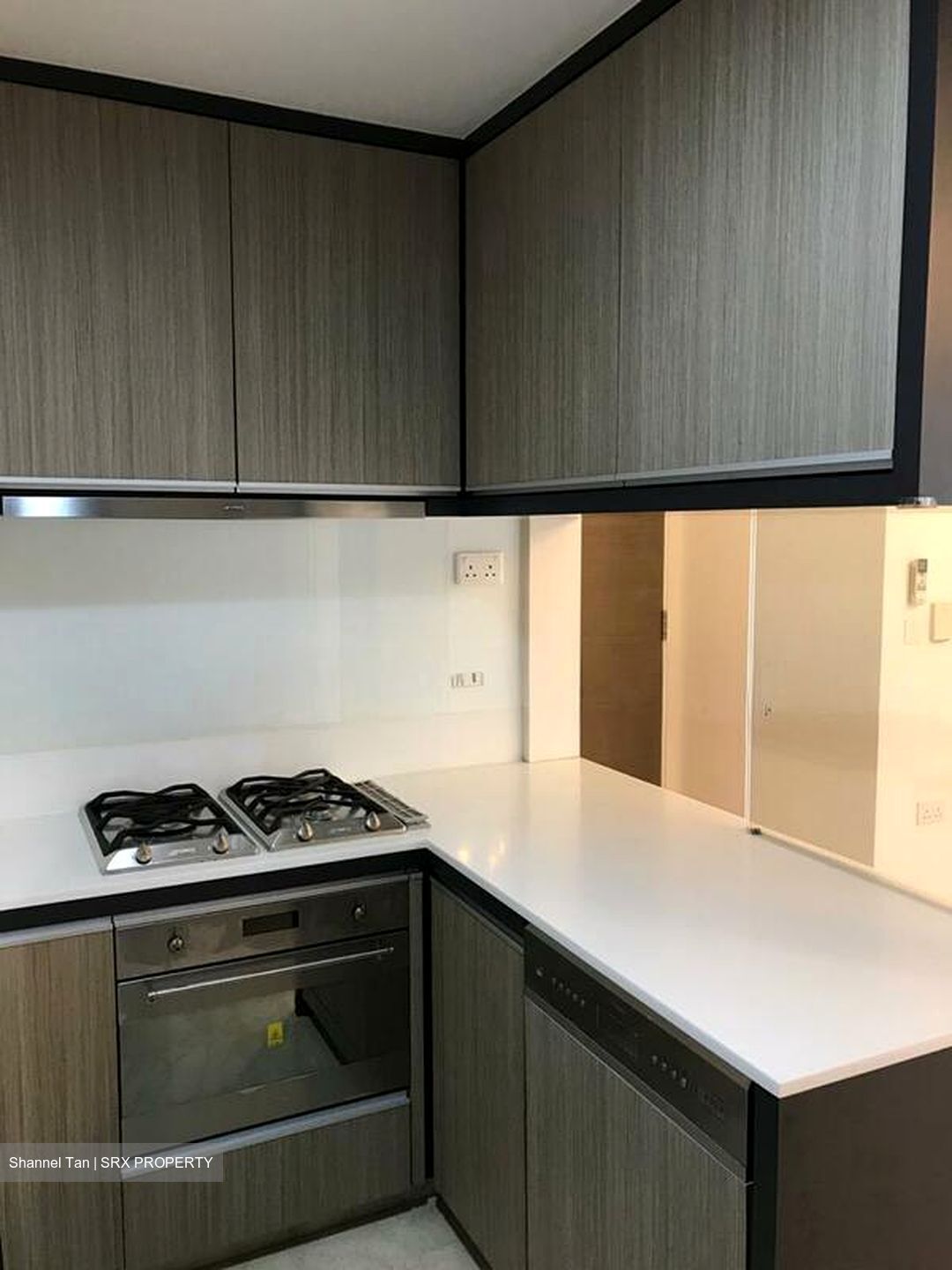 The Trizon (D10), Condominium #503707741